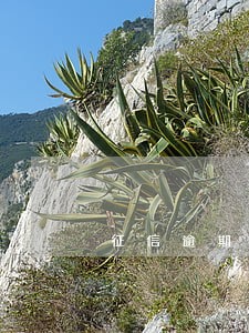 征信逾期48小时 征信逾期48小时