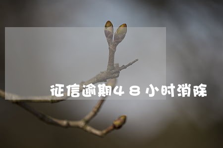 征信逾期48小时消除 征信逾期48小时消除