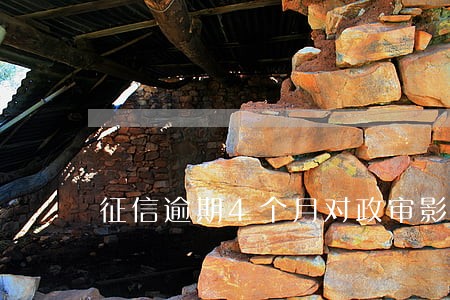 征信逾期4个月对政审影响 征信逾期4个月对政审影响