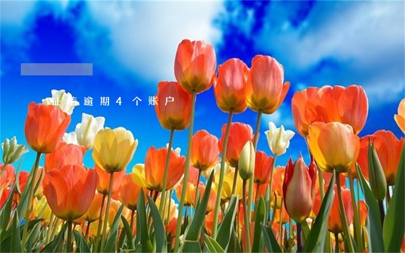 征信逾期4个账户 征信逾期4个账户