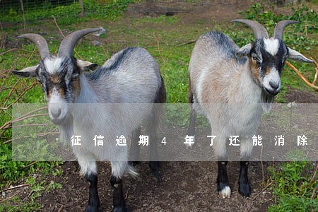 征信逾期4年了还能消除吗 征信逾期4年了还能消除吗