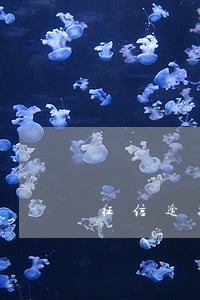 征信逾期4次能办信用卡吗 征信逾期4次能办信用卡吗