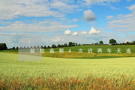 征信逾期4次近两年无逾期