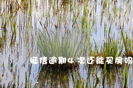 征信逾期4次还能买房吗 征信逾期4次还能买房吗