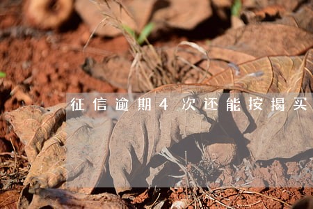 征信逾期4次还能按揭买房吗 征信逾期4次还能按揭买房吗