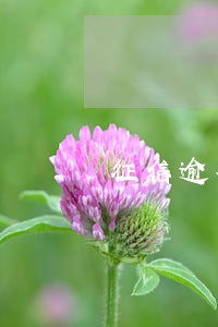征信逾期5000还清后 征信逾期5000还清后