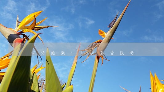 征信逾期57次能贷款吗 征信逾期57次能贷款吗