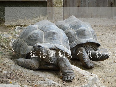 征信逾期5个月影响房贷吗 征信逾期5个月影响房贷吗