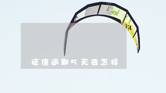 征信逾期5天会怎样 征信逾期5天会怎样