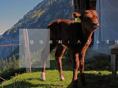 征信逾期5天怎么消除 征信逾期5天怎么消除