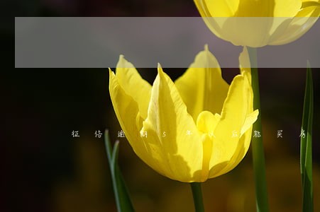 征信逾期5年以后能买房吗 征信逾期5年以后能买房吗