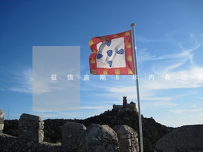 征信逾期5年内有记录 征信逾期5年内有记录