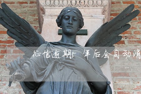 征信逾期5年后会自动消失吗 征信逾期5年后会自动消失吗
