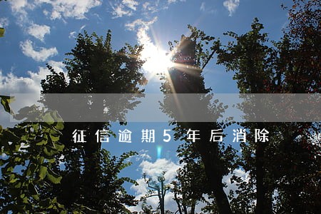 征信逾期5年后消除 征信逾期5年后消除