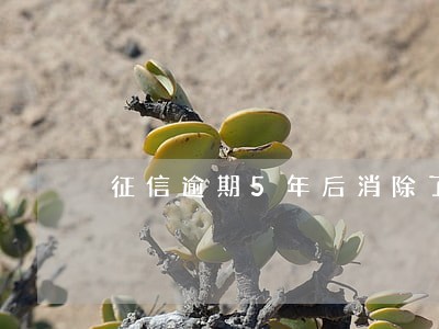 征信逾期5年后消除了 征信逾期5年后消除了