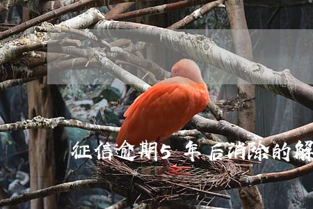 征信逾期5年后消除的解释 征信逾期5年后消除的解释