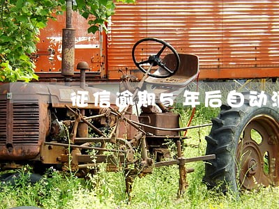 征信逾期5年后自动消除吗 征信逾期5年后自动消除吗