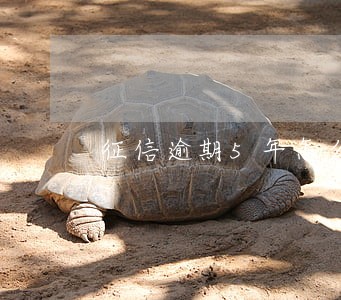 征信逾期5年怎么修复逾期 征信逾期5年怎么修复逾期