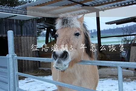 征信逾期5年怎么恢复 征信逾期5年怎么恢复