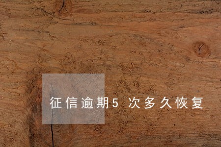 征信逾期5次多久恢复 征信逾期5次多久恢复