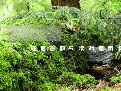 征信逾期5次对信用卡 征信逾期5次对信用卡