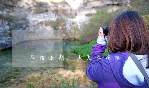 征信逾期5次怎么消除 征信逾期5次怎么消除