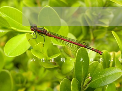 征信逾期5次能贷公积金吗