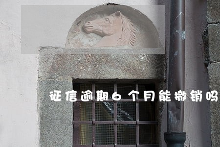征信逾期6个月能撤销吗 征信逾期6个月能撤销吗