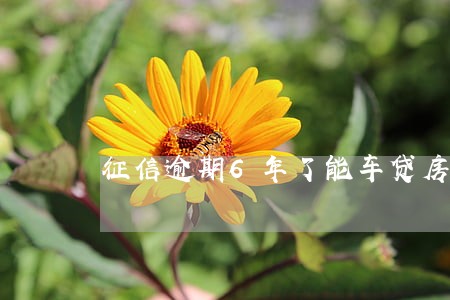 征信逾期6年了能车贷房贷吗 征信逾期6年了能车贷房贷吗