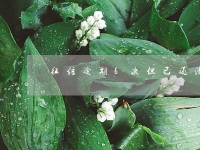 征信逾期6次但已还清