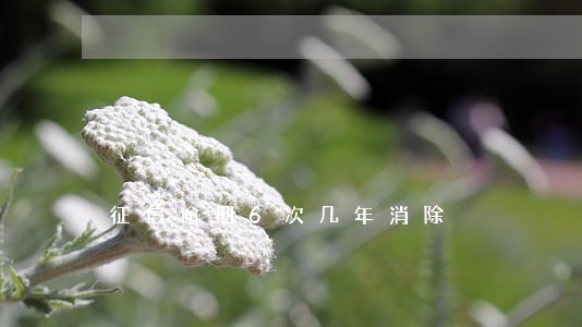 征信逾期6次几年消除 征信逾期6次几年消除