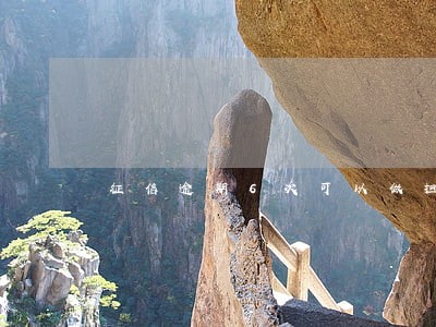 征信逾期6次可以做担保人吗 征信逾期6次可以做担保人吗