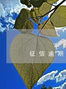 征信逾期6次可以现金贷款 征信逾期6次可以现金贷款