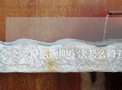 征信逾期6次怎么算五年 征信逾期6次怎么算五年