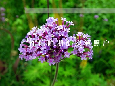征信逾期6次算黑户 征信逾期6次算黑户