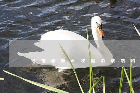 征信逾期6次能办房贷吗
