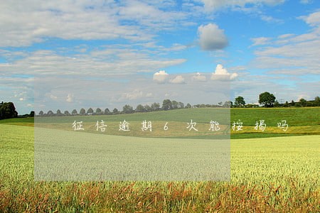 征信逾期6次能按揭吗 征信逾期6次能按揭吗