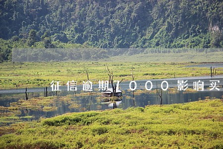 征信逾期7000影响买房吗 征信逾期7000影响买房吗