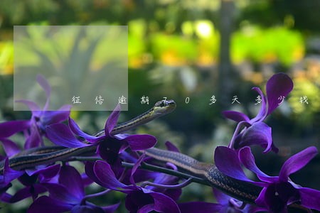 征信逾期70多天多少钱能解决 征信逾期70多天多少钱能解决