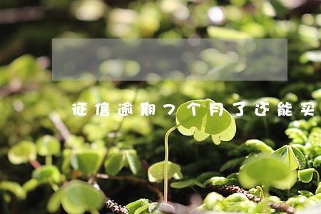 征信逾期7个月了还能买房吗 征信逾期7个月了还能买房吗