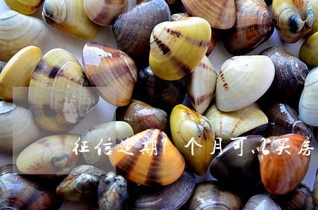 征信逾期7个月可以买房吗 征信逾期7个月可以买房吗