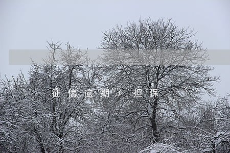 征信逾期7担保 征信逾期7担保