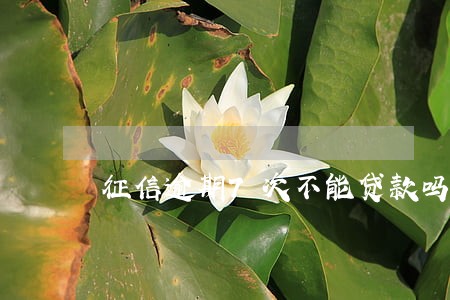 征信逾期7次不能贷款吗 征信逾期7次不能贷款吗