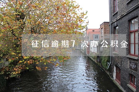 征信逾期7次办公积金 征信逾期7次办公积金