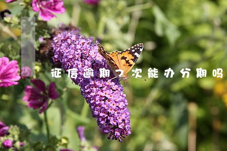 征信逾期7次能办分期吗 征信逾期7次能办分期吗