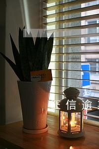 征信逾期7次能按揭购房吗 征信逾期7次能按揭购房吗