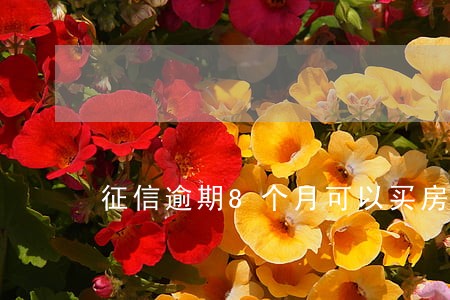 征信逾期8个月可以买房吗 征信逾期8个月可以买房吗