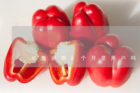 征信逾期8个月是黑户吗 征信逾期8个月是黑户吗