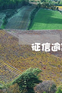 征信逾期8天影响事业单位审核吗 征信逾期8天影响事业单位审核吗