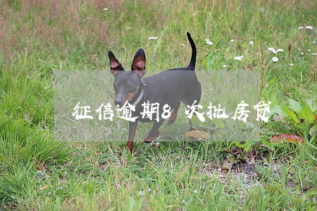征信逾期8次批房贷 征信逾期8次批房贷